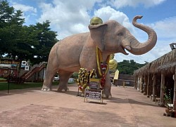 โคราชทัวร์เมืองช้าง อยุธยา ทำทัวร์ราคาถูก