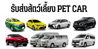 Pet car รับส่งสัตว์เลี้ยง รับขนของ